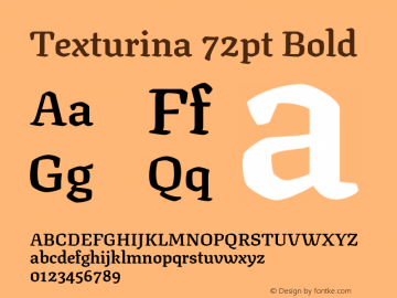 Texturina 72pt Bold Version 1.003 Font Sample