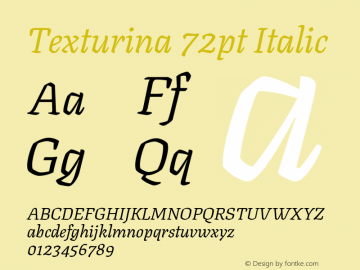 Texturina 72pt Italic Version 1.003; ttfautohint (v1.8.3) Font Sample