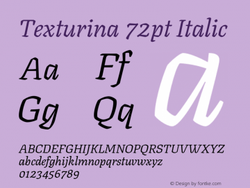 Texturina 72pt Italic Version 1.003 Font Sample