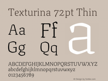 Texturina 72pt Thin Version 1.003图片样张