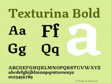 Texturina Bold Version 1.003; ttfautohint (v1.8.3)图片样张