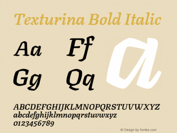 Texturina Bold Italic Version 1.003; ttfautohint (v1.8.3)图片样张