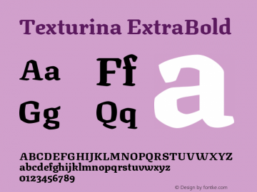 Texturina ExtraBold Version 1.003; ttfautohint (v1.8.3)图片样张