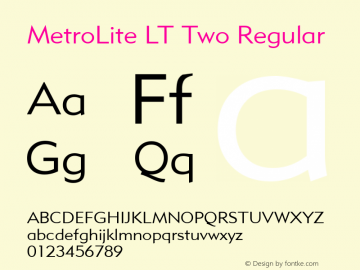 MetroLite LT Two Regular Version 6.1; 2002图片样张