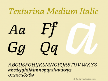 Texturina Medium Italic Version 1.003图片样张