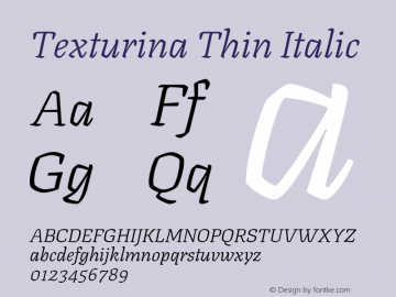 Texturina Thin Italic Version 1.003图片样张
