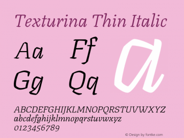Texturina Thin Italic Version 1.003; ttfautohint (v1.8.3)图片样张