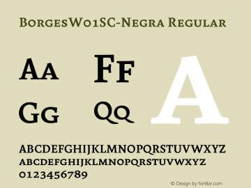 Borges W01SC Negra Version 2.00 Font Sample