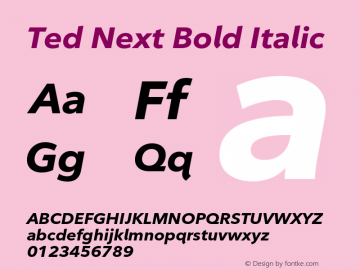 Ted Next Bold Italic Version 1.01 Font Sample