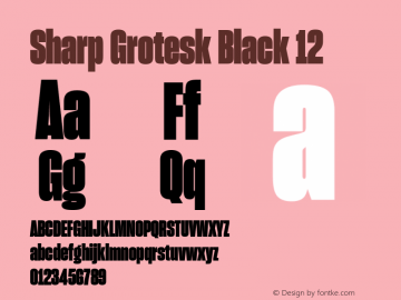 Sharp Grotesk Black 12 Version 1.003 Font Sample