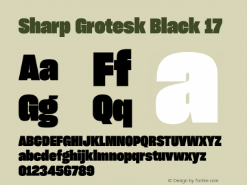 Sharp Grotesk Black 17 Version 1.003图片样张
