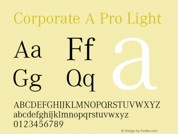 Corporate A Pro Light Version 1.40图片样张