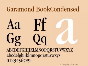 Garamond BookCondensed Macromedia Fontographer 4.1 1/12/98图片样张