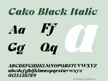 Cako Black Italic Version 1.000 | B-MOD图片样张