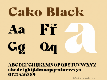Cako Black Version 1.000 | B-MOD图片样张