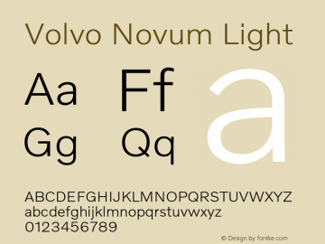 Volvo Novum Light Version 1.005图片样张