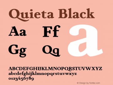 Quieta Black Version 1.000;hotconv 1.0.109;makeotfexe 2.5.65596 Font Sample