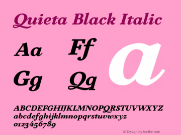Quieta Black Italic Version 1.000;hotconv 1.0.109;makeotfexe 2.5.65596 Font Sample