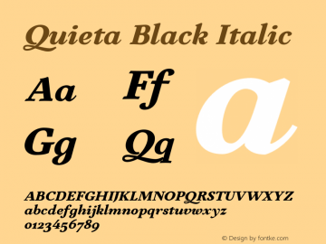 Quieta-BlackItalic Version 1.000;hotconv 1.0.109;makeotfexe 2.5.65596 Font Sample
