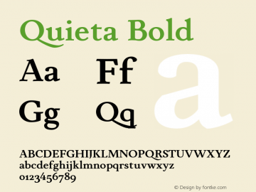 Quieta-Bold Version 1.000;hotconv 1.0.109;makeotfexe 2.5.65596 Font Sample