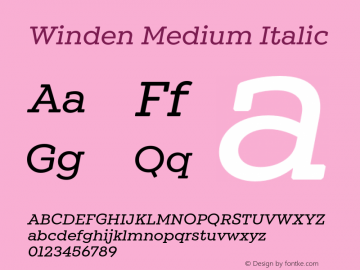 Winden-MediumItalic Version 1.000;hotconv 1.0.109;makeotfexe 2.5.65596 Font Sample