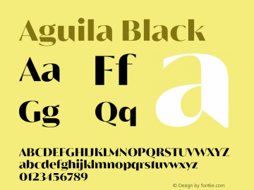 Aguila-Black Version 1.000;hotconv 1.0.109;makeotfexe 2.5.65596图片样张