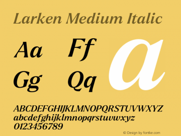 Larken Medium Italic Version 1.000;hotconv 1.0.109;makeotfexe 2.5.65596 Font Sample