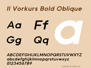 IIVorkurs-BoldOblique Version 1.010;Fontself Maker 3.5.1图片样张