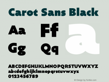 Carot Sans Black Version 1.000图片样张