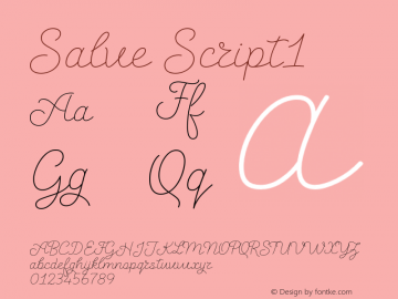 Salve-Script1 Version 1.000图片样张