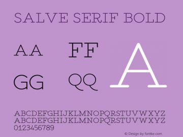 Salve-SerifBold Version 1.000图片样张