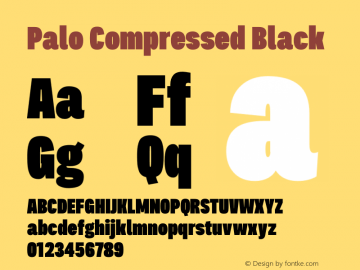 Palo Compressed Black Version 1.000图片样张