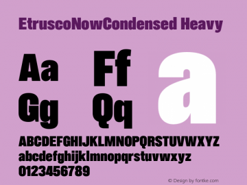 EtruscoNowCondensed Heavy Version 1.001;hotconv 1.0.109;makeotfexe 2.5.65596图片样张
