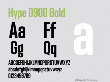 Hype 0900 Bold Version 1.000;hotconv 1.0.109;makeotfexe 2.5.65596 Font Sample