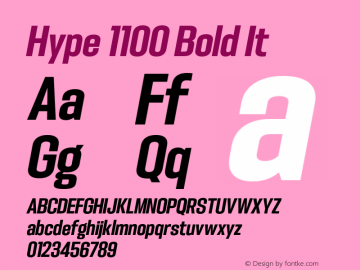 Hype 1100 Bold It Version 1.000;hotconv 1.0.109;makeotfexe 2.5.65596图片样张