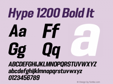 Hype 1200 Bold It Version 1.000;hotconv 1.0.109;makeotfexe 2.5.65596图片样张