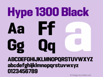 Hype 1300 Black Version 1.000;hotconv 1.0.109;makeotfexe 2.5.65596 Font Sample