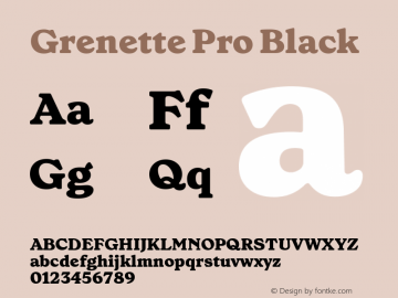 Grenette Pro Black Version 2.001图片样张