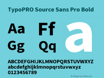 TypoPRO Source Sans 3 Bold Version 3.028;hotconv 1.0.115;makeotfexe 2.5.65600图片样张