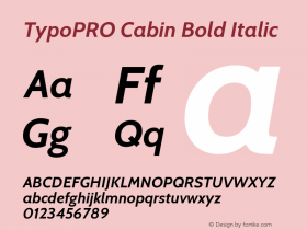 TypoPRO Cabin Bold Italic Version 3.001图片样张