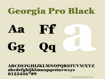 Georgia Pro Black Version 6.001;hotconv 1.0.109;makeotfexe 2.5.65596图片样张