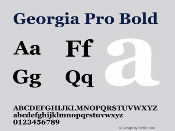 Georgia Pro Bold Version 6.001;hotconv 1.0.109;makeotfexe 2.5.65596图片样张