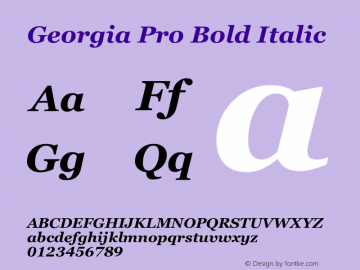 Georgia Pro Bold Italic Version 6.001;hotconv 1.0.109;makeotfexe 2.5.65596图片样张