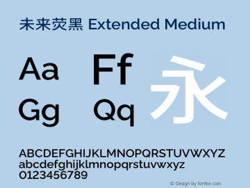 未来荧黑 Extended Medium 图片样张