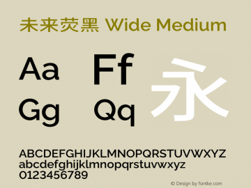 未来荧黑 Wide Medium  Font Sample