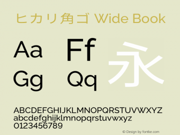 ヒカリ角ゴ Wide Book  Font Sample