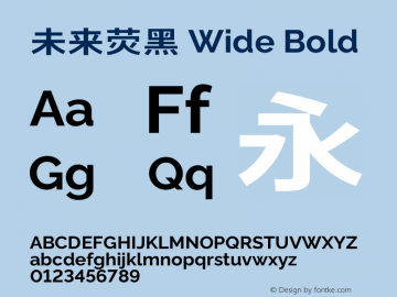 未来荧黑 Wide Bold  Font Sample