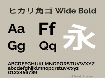 ヒカリ角ゴ Wide Bold  Font Sample