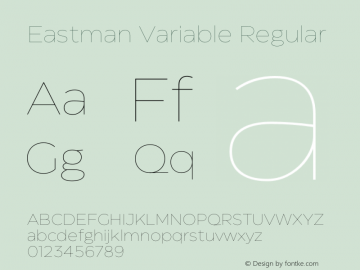 Eastman Variable Version 1.001图片样张