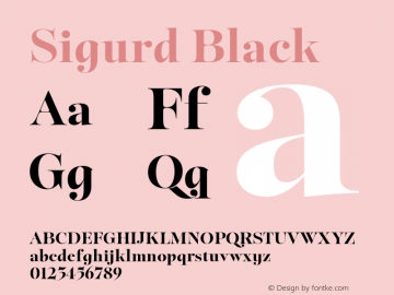 Sigurd Black Version 1.000;hotconv 1.0.109;makeotfexe 2.5.65596图片样张